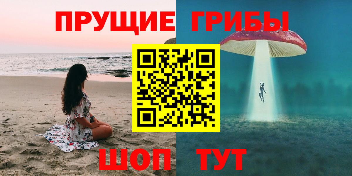 Псилоцибиновые грибы MAGIC MUSHROOMS  Вход с VPN  Торжок 